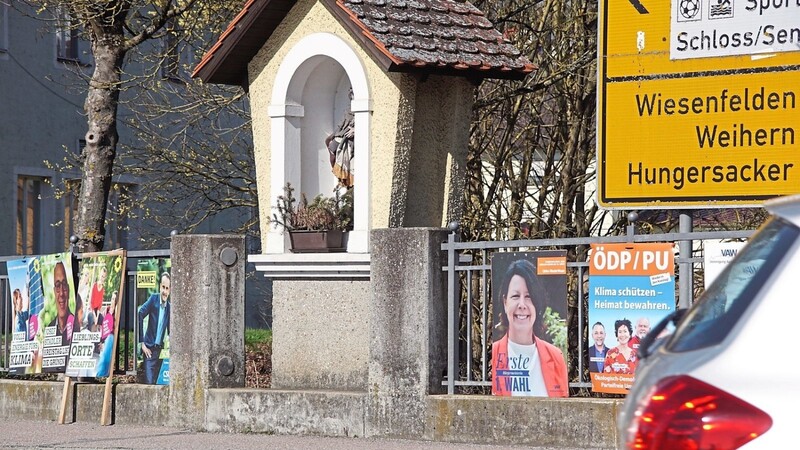 Wahlplakate im Zentrum der Stadt Wörth. Für manche Parteien war der Wahlsonntag ein großer Erfolg - für andere weniger.