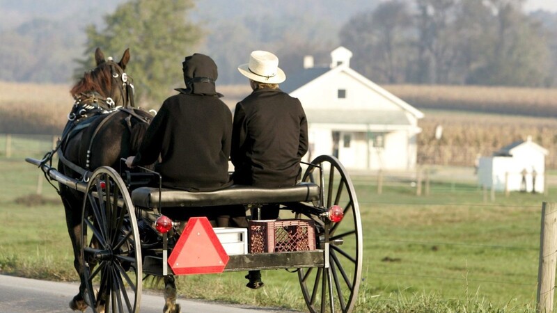 Die Pferdekutschen der altmodischen "Amischen" sind eigentlich eher gemächliche Gefährte. (Symbolbild)