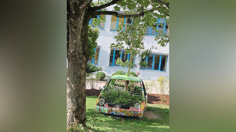 Insektenhotel: Die Mittelschule will auch 2019/2020 solche Umweltprojekte starten.