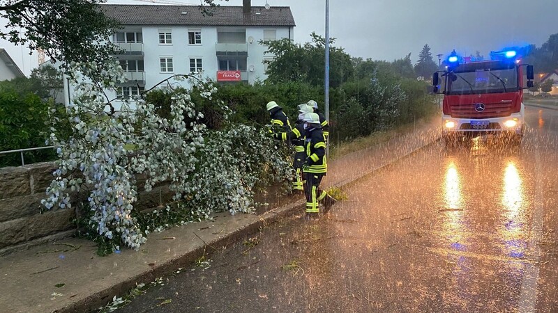 In Bad Kötzting fiel eine Weide in die Fahrbahn.