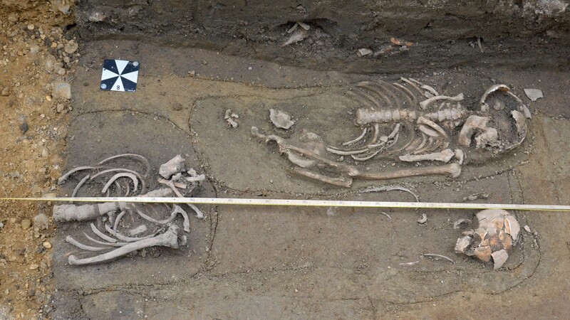 Skelette von Kindern und ein durch Erdarbeiten "halbiertes" Skelett (links).