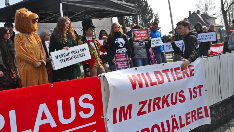 Das Schicksal von Zirkusbär Ben hat ganz Deutschland bewegt. Am Samstag demonstrierten deshalb Tierschutz-Aktivisten in Plattling.