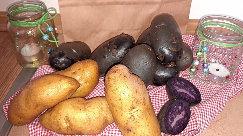 Mit ihrer außergewöhnlichen Färbung bringt die Kartoffelsorte Purple Rain Farbe auf den Teller. Die Sorte Mayan Gold hingegen zeichnet sich durch ihre schnelle Kochzeit aus.