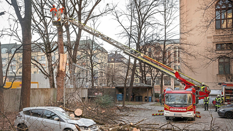 Ein von heruntergefallenden Ästen schwer beschädigtes Auto steht nach dem Sturmtief "Bennet" in der Münchner Innenstadt, während die Feuerwehr Äste von einem vom Sturm beschädigten Baum schneidet.