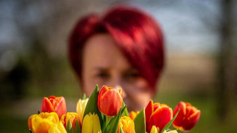 Tulpen gelten als die beliebtesten Frühlingsblumen.