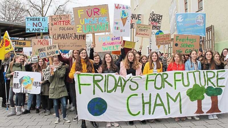 Bunte Plakate, laute Parolen: So machten am Freitag Schüler auf den Klimaschutz aufmerksam.