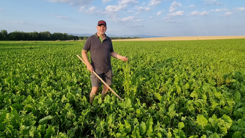 Die Landwirtschaft liegt Richard Schwaiger aus Amselfing am Herzen. Auf Youtube nimmt der 50-Jährige seine Abonnenten mit aufs F