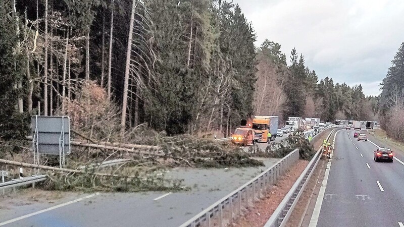Nichts geht mehr auf der A 93 bei Mainburg: Umgestürzte Bäume blockieren den Verkehr.