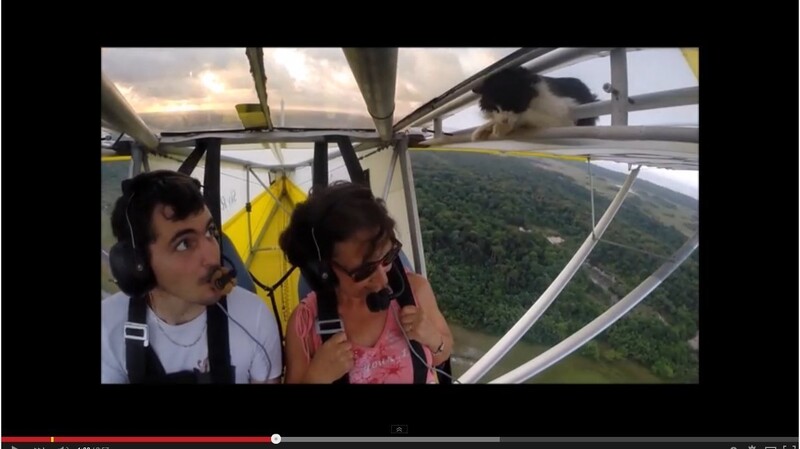 Der Schrecken ist dem Piloten ins Gesicht geschrieben, als er den tierischen Passagier entdeckt. (Bild: Screenshot Youtube/romain jantot)