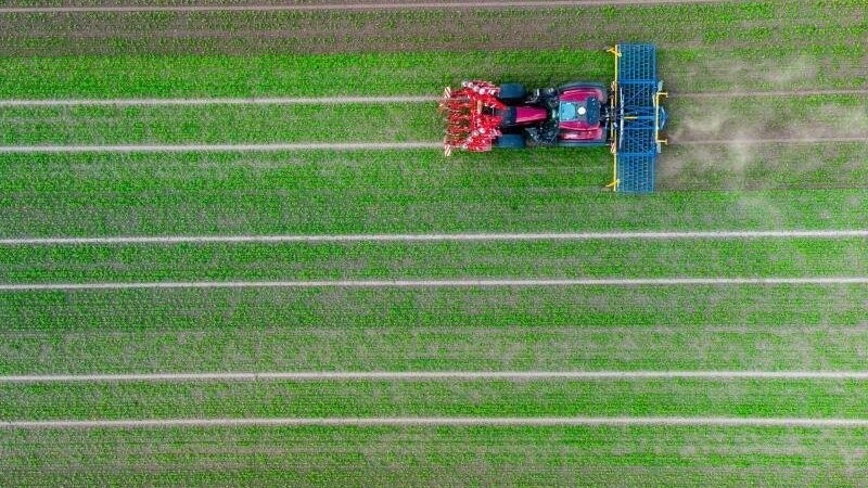 Landwirten werden ab 1. Juni in ganz Deutschland Weideflächen zur Verfügung gestellt, um die Auswirkungen des Kriegs auf die steigenden Futterpreise abzufangen (Symbolbild).