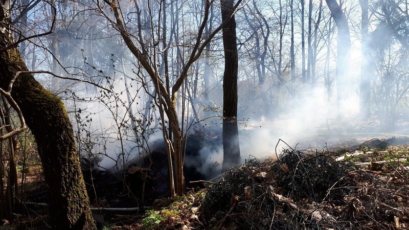 Zu zahlreichen Wald- und Flächenbränden hatte die Feuerwehr in den vergangenen Tagen ausrücken müssen. (Symbolbild)