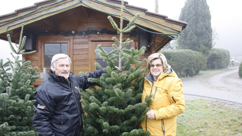 Heidi und Helmut Stangl wissen genau, wie der Lebenslauf eines Christbaums aussieht. (Foto: Julia Gabauer)