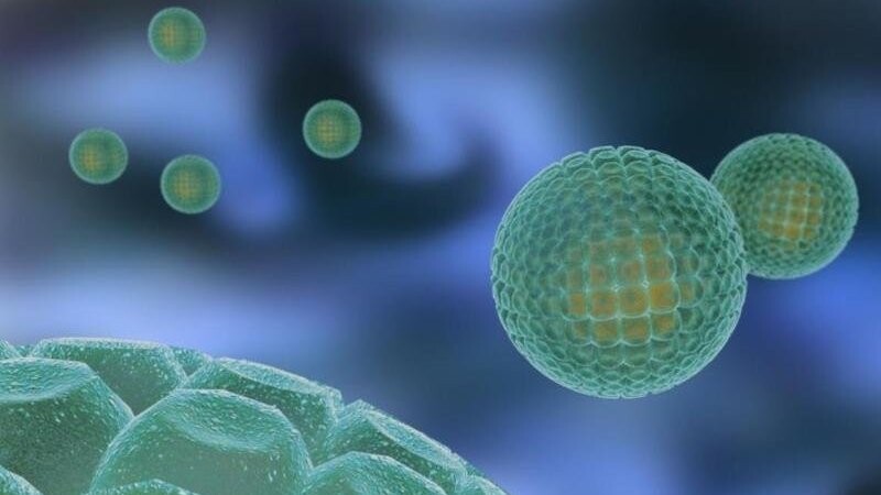 Schematische Darstellung eines Hepatitis-C-Virus. Foto: Novartis