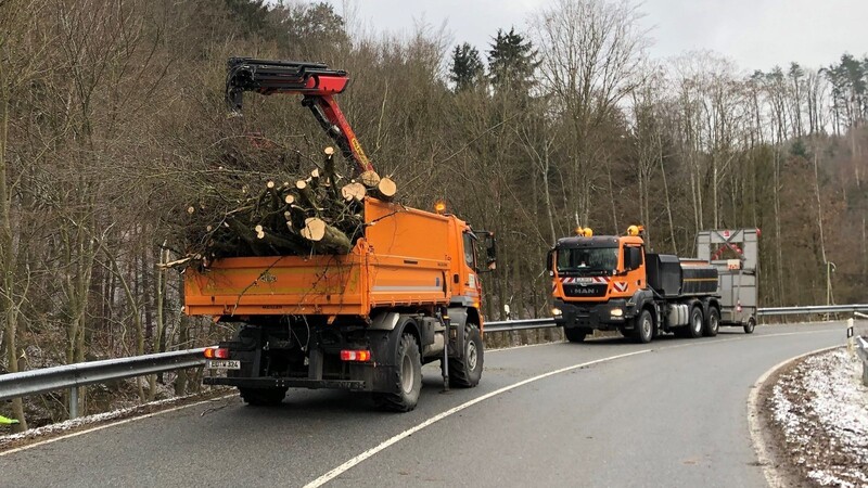 Kommende Woche fällt das Staatliche Bauamt Landshut schadhafte Bäume. Daher müssen betroffene Straßenabschnitte stundenweise gesperrt werden.