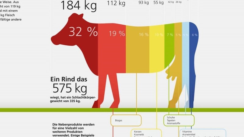 Der verwertbare Fleischanteil beim Rind beträgt nur gut 32 Prozent.