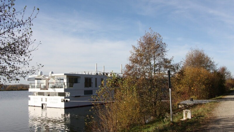 Aufgrund des Niedrigwassers der Donau blieben im vergangenen Jahr zahlreiche Flusskreuzfahrtschiffe an der Anlegestelle der Reederei Viking westlich der Schleuse stehen.