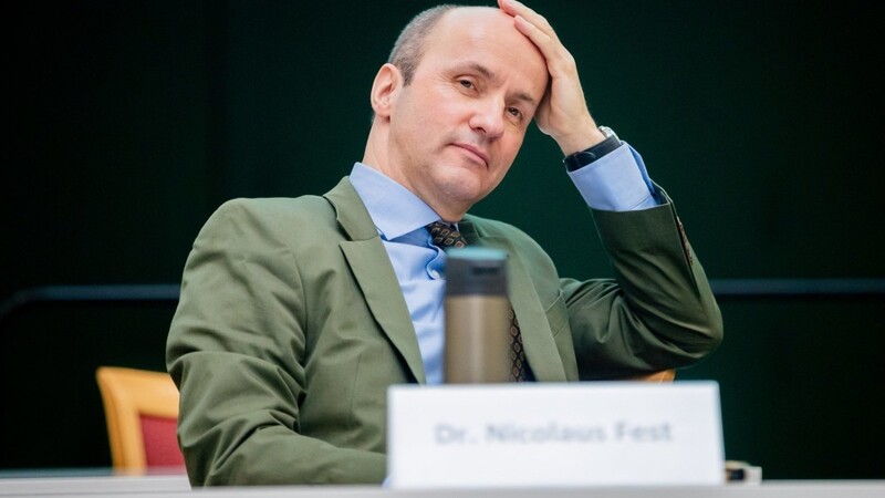 Nicolaus Fest wurden zum neuen Vositzenden der AfD im Europaparlament gewählt. (Archivbild)