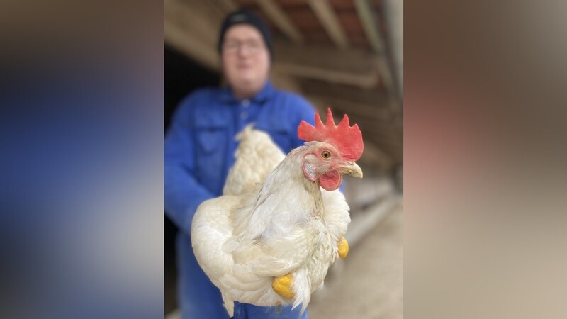 Daniel Grosser hält eine seiner "Damen" im Arm. Auf seinem Hof leben die Tiere eineinhalb Mal so lang wie auf einem konventionellen Betrieb, sagt der Landwirt.