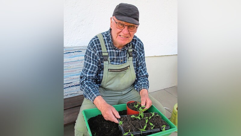Josef Sehofer will auch in diesem Jahr seinen Vorratskeller wieder mit selbst gezüchtetem Obst und Gemüse füllen.