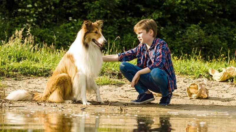 Nico Marischka als Flo mit Lassie