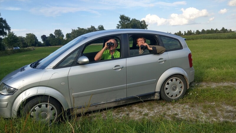 Vom Auto aus mit dem Fernglas suchen Franz und Gisela Meindl nach Kiebitznestern.