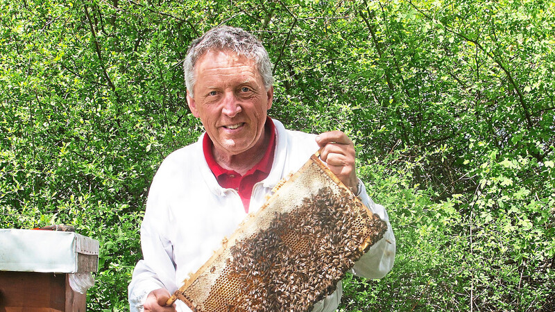 Johannes Selmansberger hat 20 Bienenvölker. Er arbeitet ohne Gesichtsschutz und Handschuhe und wird daher des Öfteren gestochen.