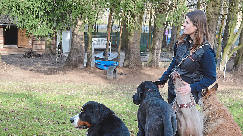 Simone Zeletzki liebt natürlich Hunde und geht mit ihnen freundlich und natürlich um.