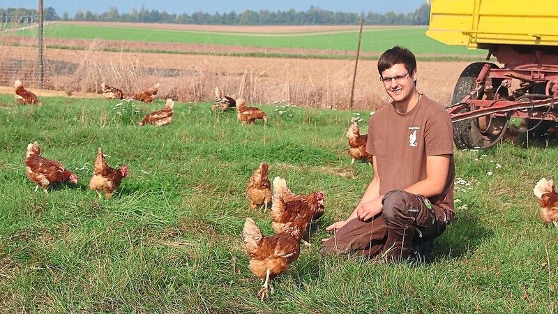 Korbian Stangl kniet neben ein paar Hühnern auf der Wiese. Die Schar ist nur ein ganz kleiner Teil des Bestands, der insgesamt zum Stangl-Hof gehört. Täglich werden dort rund 28 000 frisch gelegte Eier eingesammelt, kontrolliert und für den Verkauf vorbereitet.