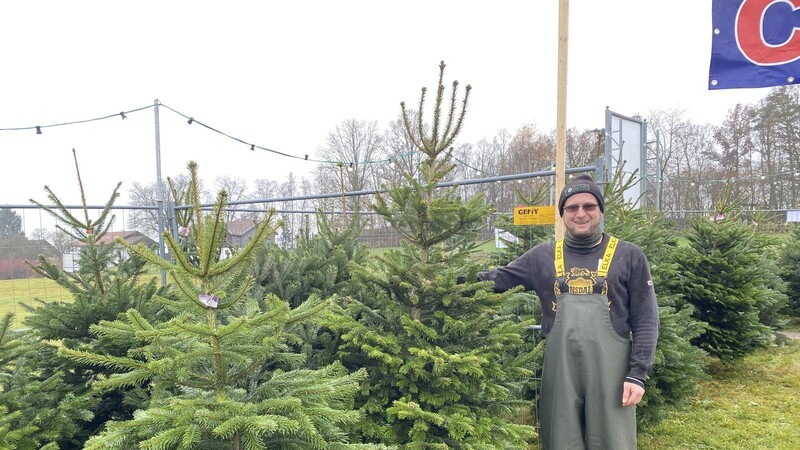 Florian Eisenhardt ist Mitarbeiter bei Imkereibedarf Joseph Muhr. Im Winter verkauft er die Christbäume in Viechtach.
