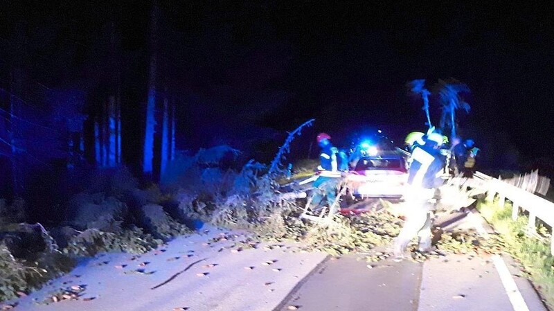 Die Feuerwehr Hochdorf entfernte den umgestürzten Baum von der Staatsstraße. Eine junge Autofahrerin war mit dem Baum kollidiert.