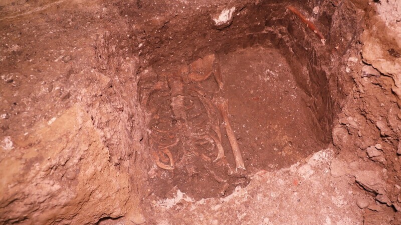 Bei Bauarbeiten haben Handwerker unter dem Passauer Dom ein Skelett gefunden.