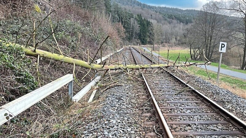 Am Samstagfrüh fiel ein Baum auf die Eisenbahnlinie zwischen Miltach und Chamerau.