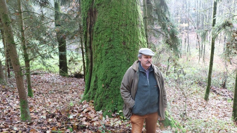 Karl Anselm Fürst von Urach Graf von Württemberg in seinem Wald vor einer rund 300 Jahre alten, bemoosten Eiche. Er will aus dem Wald einen Naturfriedhof machen, in dem Menschen ihre letzte Ruhestätte unter einem Baum finden können.