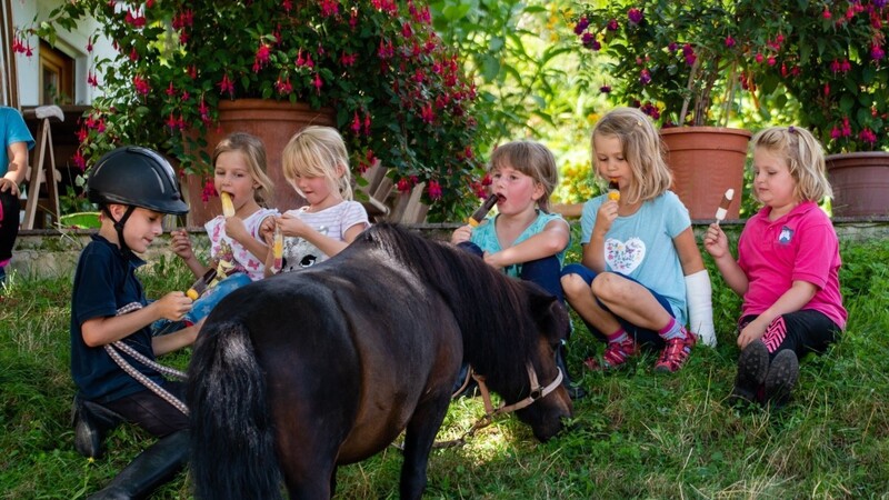 Beim Ferienprogramm konnten die Kinder viel Zeit mit den Ponys verbringen. - Die Teilnehmer an den Reitabzeichen-Prüfungen mit ihren Urkunden.