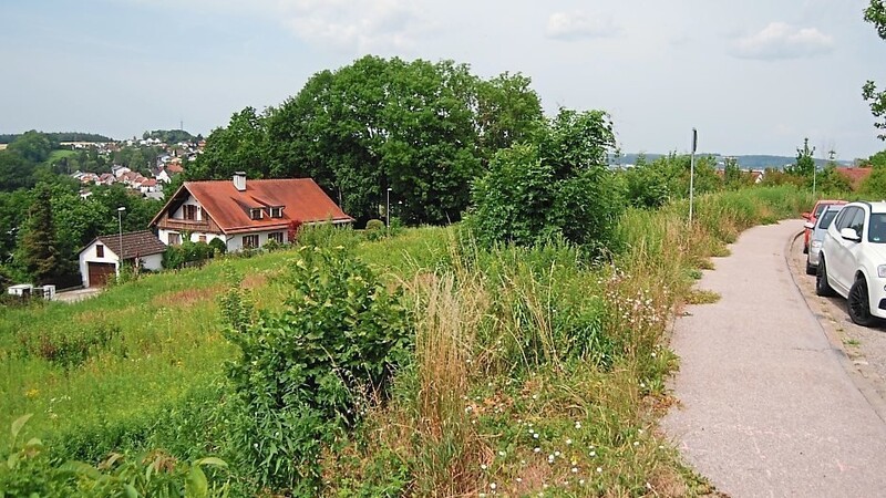 In Achdorf gibt es noch etliche freie Flächen. Konkrete Baupläne bestehen für die Gebiete am Schopperfeld...