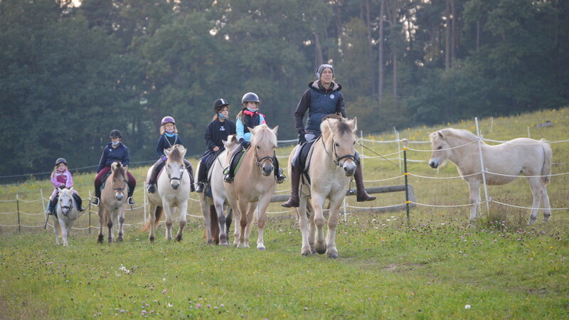 Beim gemeinsamen Ausritt spüren die jungen Reiter die Verbundenheit mit Tier und Natur.