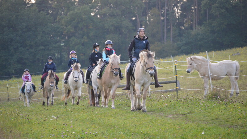 Beim gemeinsamen Ausritt spüren die jungen Reiter die Verbundenheit mit Tier und Natur.