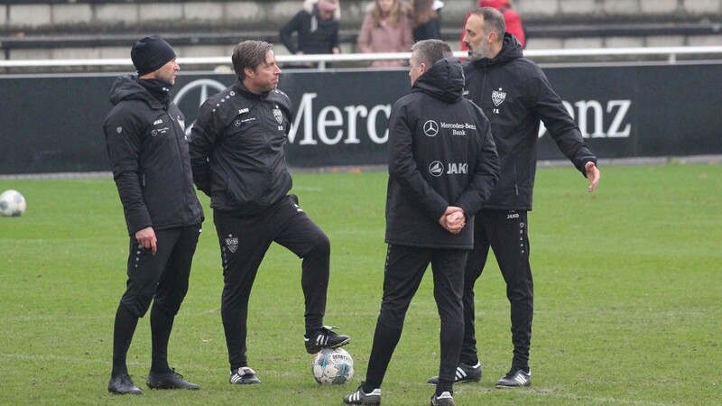 Das Trainerteam des VfB Stuttgart hat eine sehr spannende Mannschaft für die Bundesliga zusammengestellt.