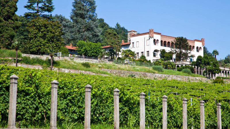 Lambrusco wächst in der italienischen Region Emilia-Romagna - und kam kurz auch aus dem Wasserhahn.