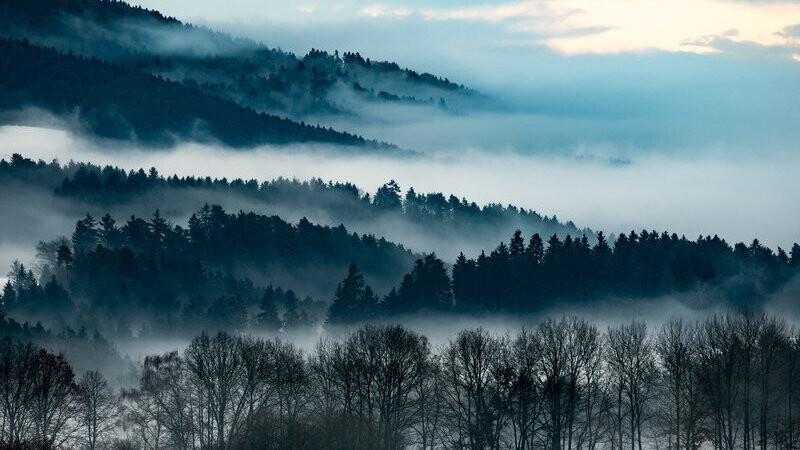 Nebelschwaden hängen in den Wäldern nahe Loitzendorf im niederbayerischen Landkreis Straubing-Bogen.