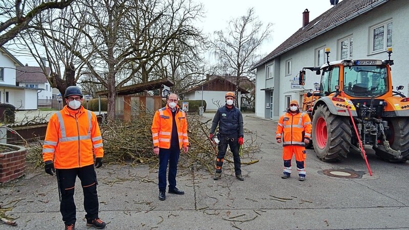 Bei den Arbeiten an den Kastanien am Dorfhaus Ganacker halfen Andreas Schott (v.l.), Bürgermeister Martin Hiergeist, Armin Altmann und Dominik Maier.