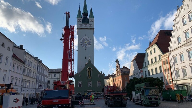 Eine 17 Meter hohe Rotfichte sorgt in diesem Jahr für Weihnachtsstimmung auf dem Straubinger Ludwigsplatz.