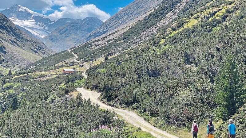 Ein langer Weg führt zur Fundstelle in 3 000er Höhen, im Hintergrund die vergletscherte Similaun-Spitze.