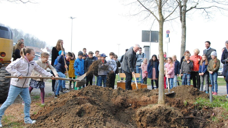 Die Klasse 3a der Grundschule Karl Heiß und Oberbürgermeister Alexander Putz pflanzten vorm Zeughaus eine sechs Meter hohe Flatterulme.