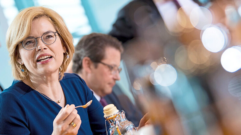 Bundesernährungsministerin Julia Klöckner will die Verbraucher darüber abstimmen lassen, welches das beste Modell zur Kennzeichnung von verstecktem Fett, Zucker und Salz in Lebensmitteln ist.