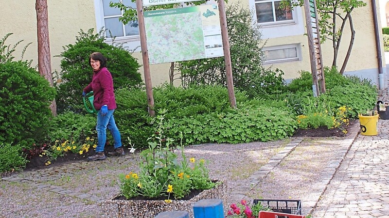 Mitglieder des Obst- und Gartenbauvereins bepflanzen die Schwemme.