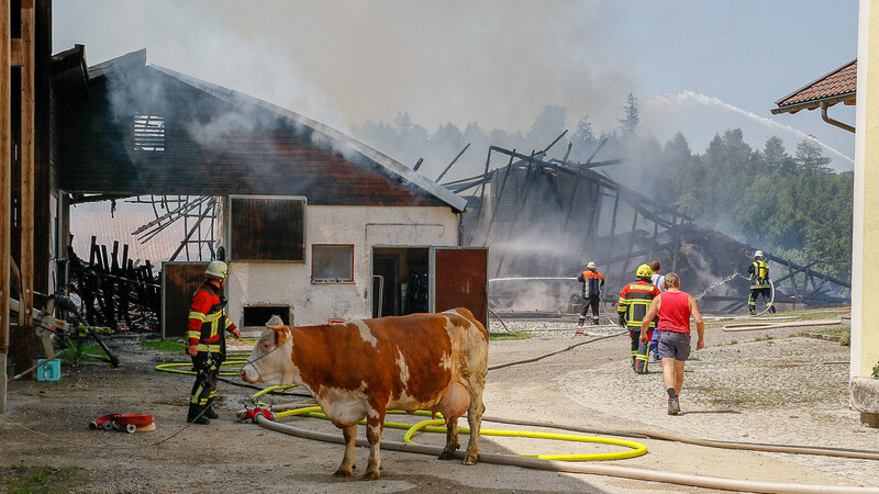 Brand am Mittwochmittag auf einem Bauernhof bei Salzweg im Landkreis Passau.