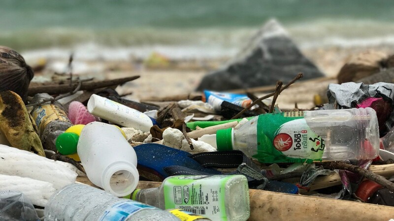 Leider keine Seltenheit. Plastik am und im Meer. Wie lässt sich das vermeiden?