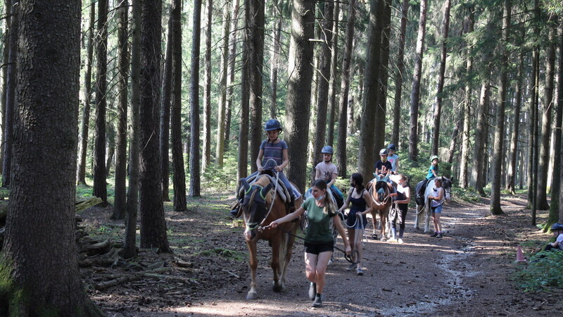 Eine PS leisten die vierbeinigen Fortbewegungsmittel, mit denen es bei den Pferdetagen durch den Wald geht.