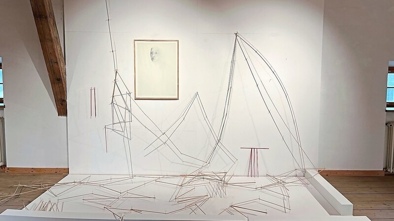 Eine Installation von Anton Kirchmair: fein vernetzte Elemente, die sich über den zugewiesenen Raum hinaus verbreiten.